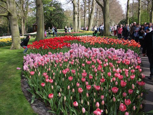 Amsterdam-Keukenhof-Brussel-Maastricht